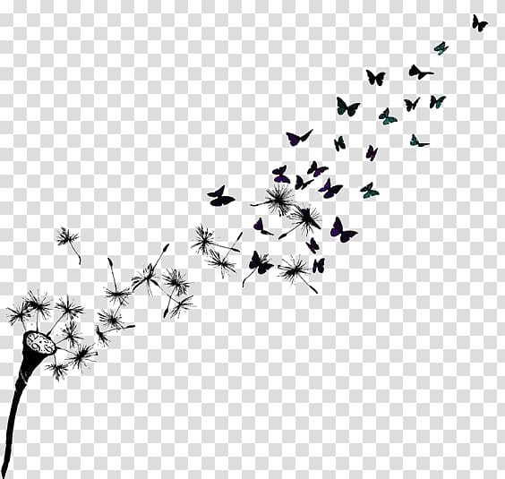 group of butterfly silhouette artwork, Butterfly Common Dandelion Sleeve tattoo Drawing, Floating dandelion transparent background PNG clipart