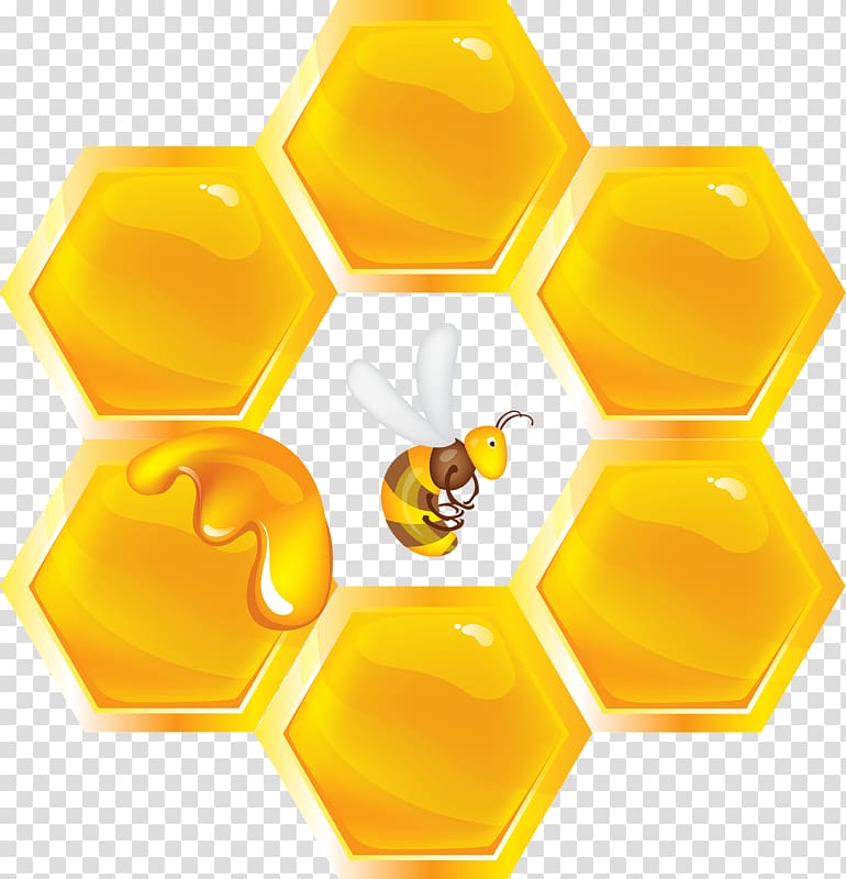 Honey bee Honeycomb Insect, bee transparent background PNG clipart