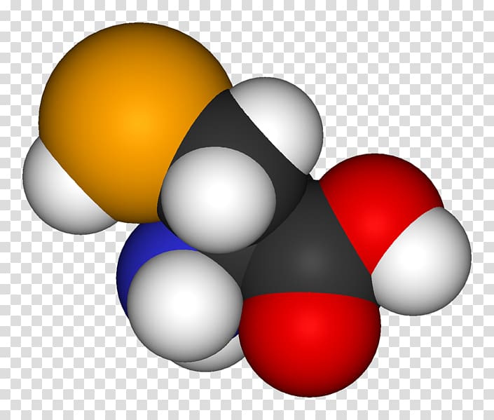 Selenocysteine Amino acid Selenoprotein Selenium, others transparent background PNG clipart