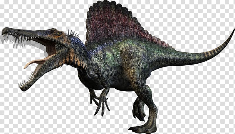 multicolored dinosaur illustration, Carnivores: Dinosaur Hunter Spinosaurus Tyrannosaurus Giganotosaurus Dinosaur size, dinosaur transparent background PNG clipart