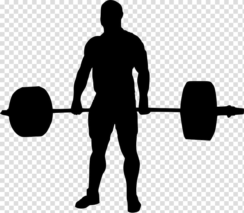 Powerlifting transparent background PNG clipart