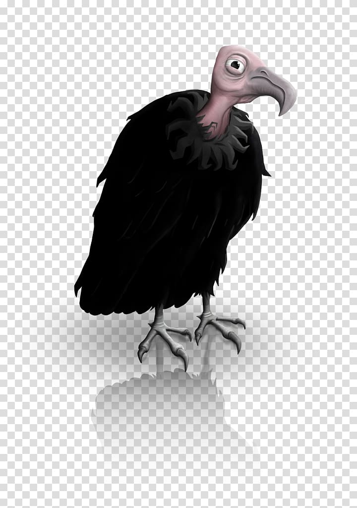 Condor Fauna Vulture Beak, reforestation transparent background PNG clipart