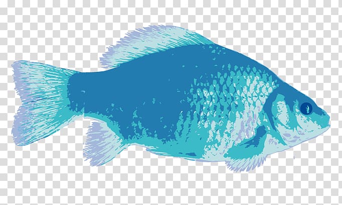 Coral reef fish Marine biology Deep sea fish Saltwater fish, others transparent background PNG clipart