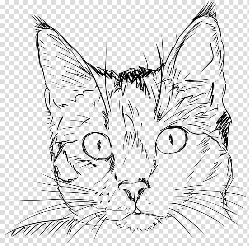 Drawing a cat Kitten Drawing a cat Sketch, Cat transparent background PNG clipart