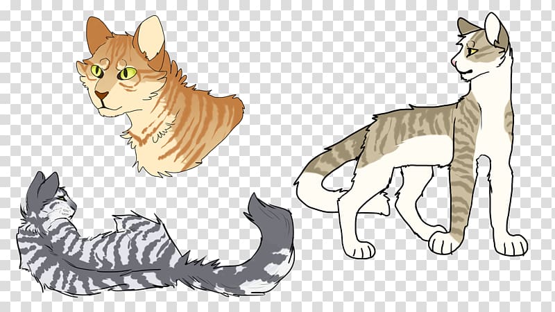 Whiskers Kitten Tabby cat Wildcat Domestic short-haired cat, line drawing style transparent background PNG clipart