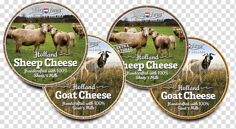 Goat cheese Gouda cheese Milk, milk transparent background PNG clipart