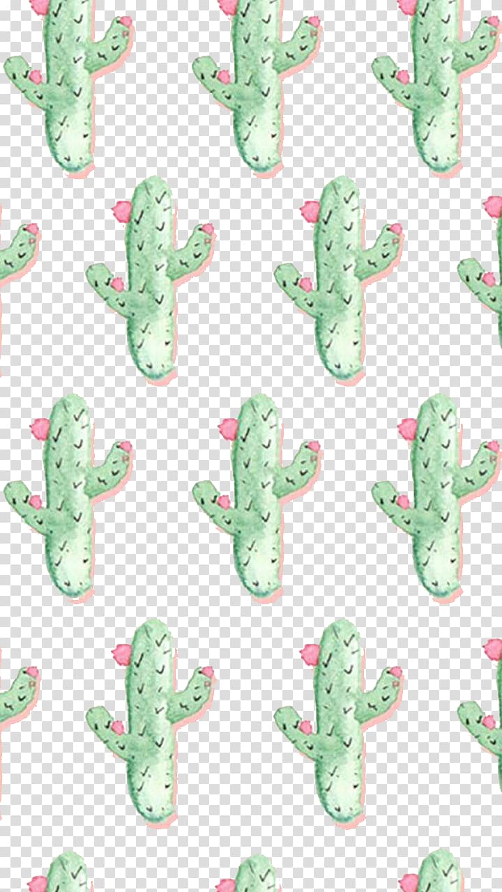 cactcus painting, Cactaceae Barbary fig Succulent plant , Little cactus transparent background PNG clipart