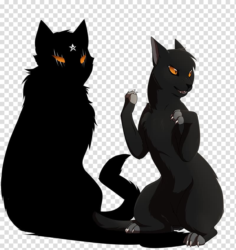 Bombay cat Warriors Breezepelt Hollyleaf Tigerstar, black cat transparent background PNG clipart
