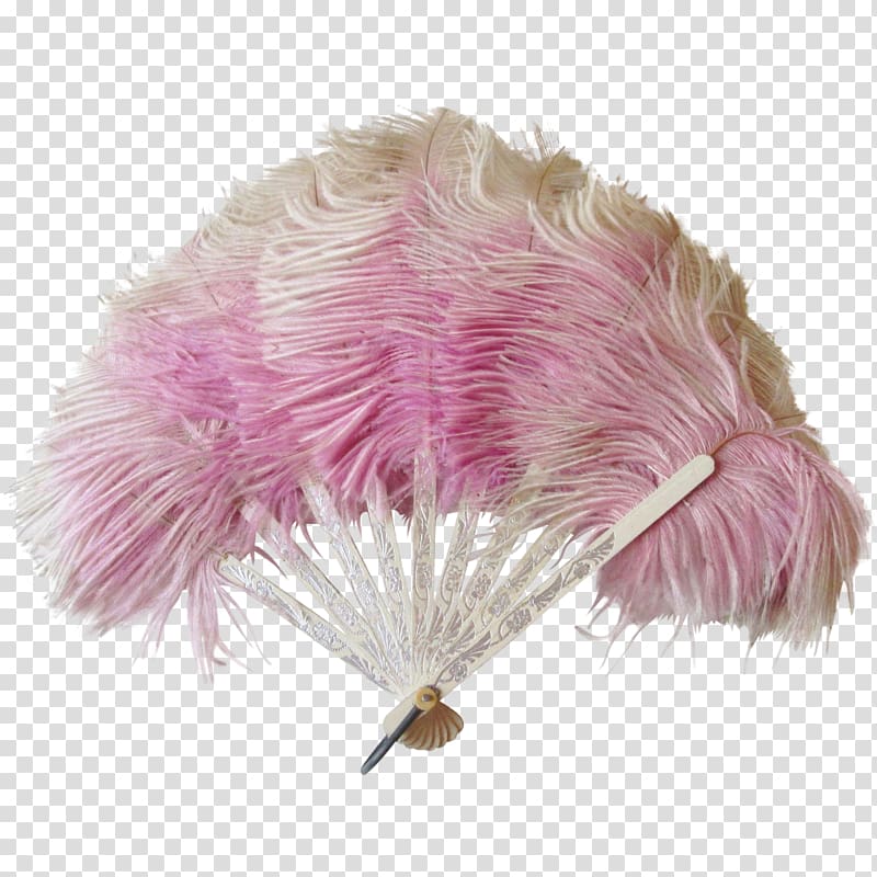 Common ostrich Feather boa Purple Lavender, ostrich transparent background PNG clipart