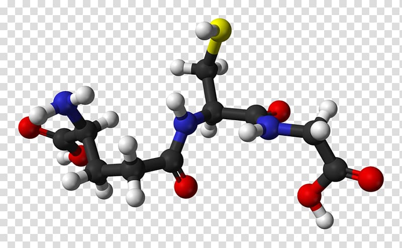 Glutathione Antioxidant Cell Radical Human body, others transparent background PNG clipart