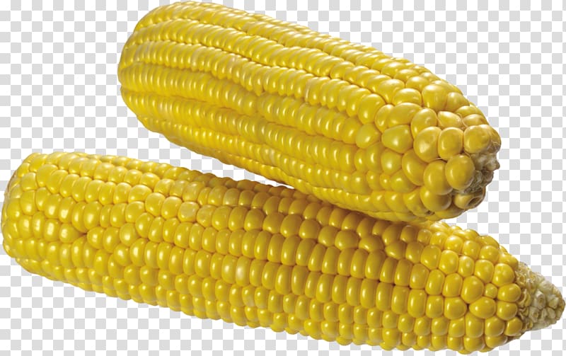Corn on the cob Corn kernel Sweet corn Maize Corncob, Corn transparent background PNG clipart