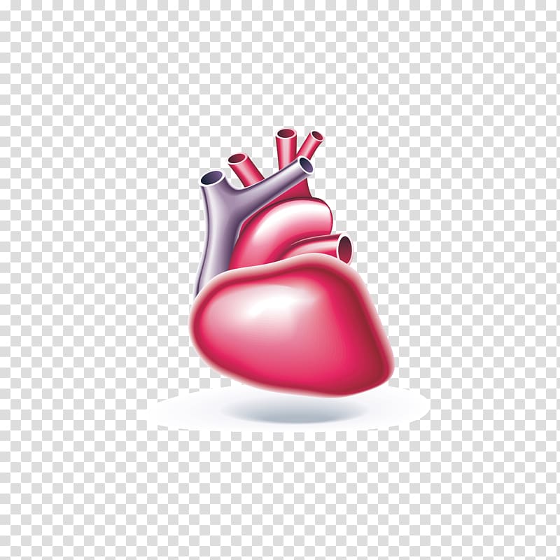 The heart of painted drawings transparent background PNG clipart