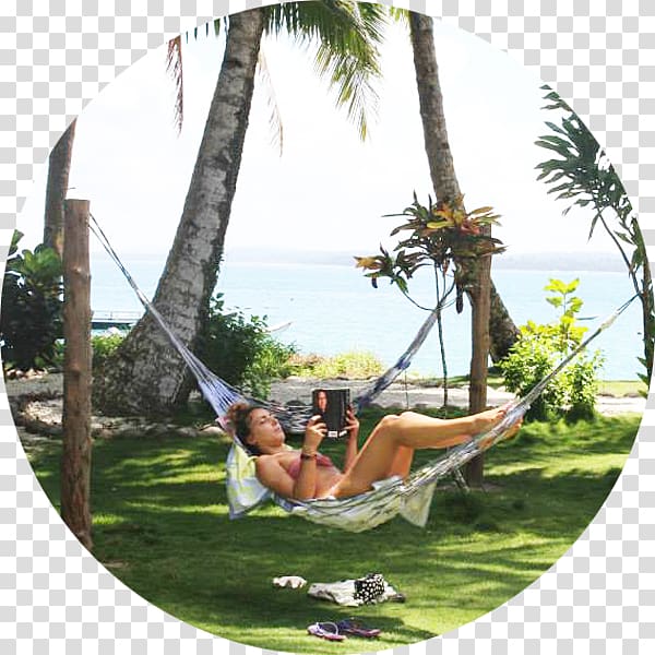 Leisure Recreation Hammock Vacation Tree, Vacation transparent background PNG clipart