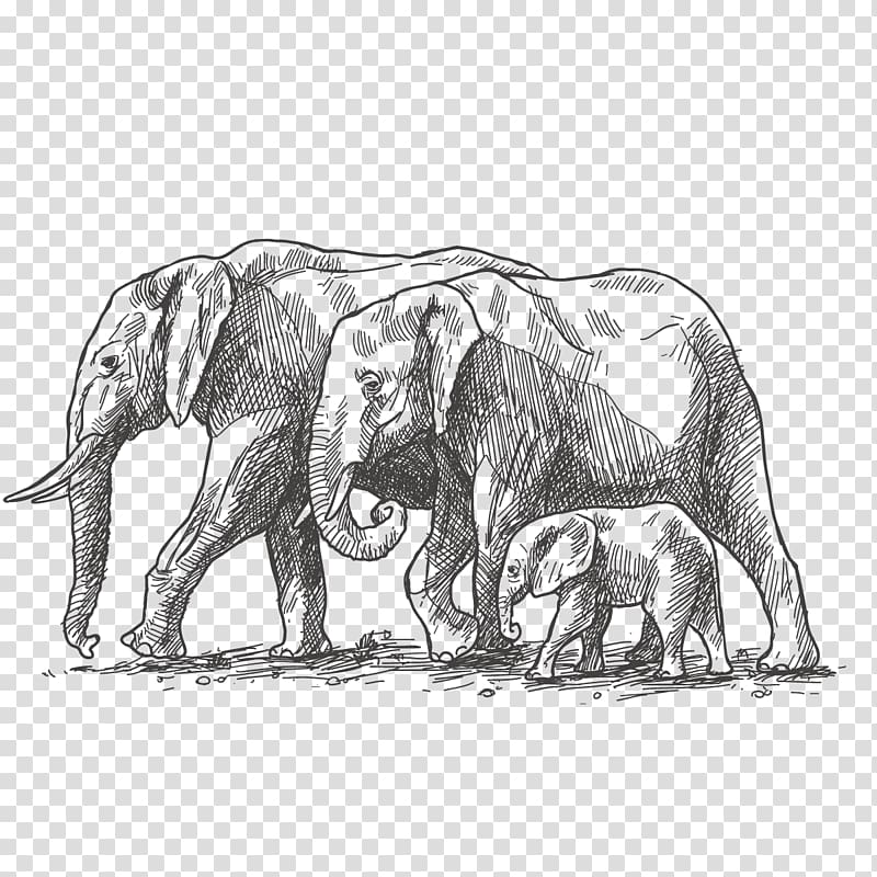 African elephant World Elephant Day Family Drawing, elephant decoration transparent background PNG clipart