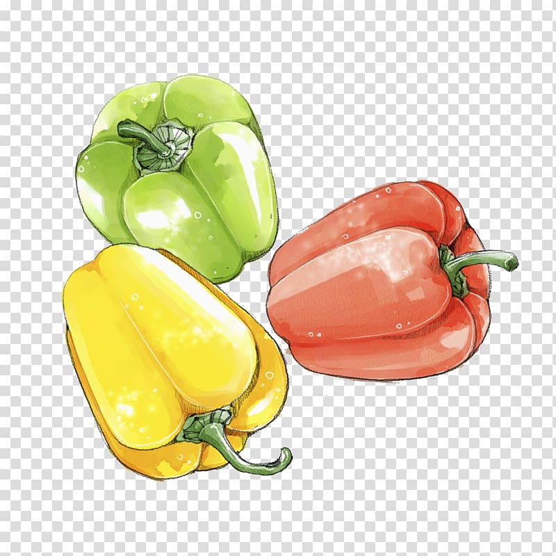 Habanero Bell pepper Jalapexf1o Friggitello Yellow pepper, Colored persimmon pepper transparent background PNG clipart