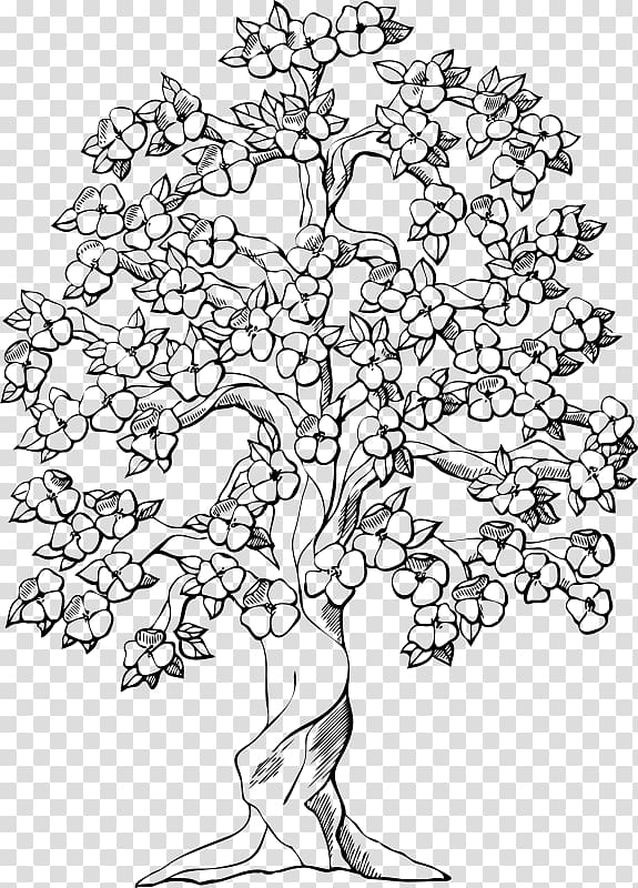 Flowering dogwood Drawing Tree , flower transparent background PNG clipart