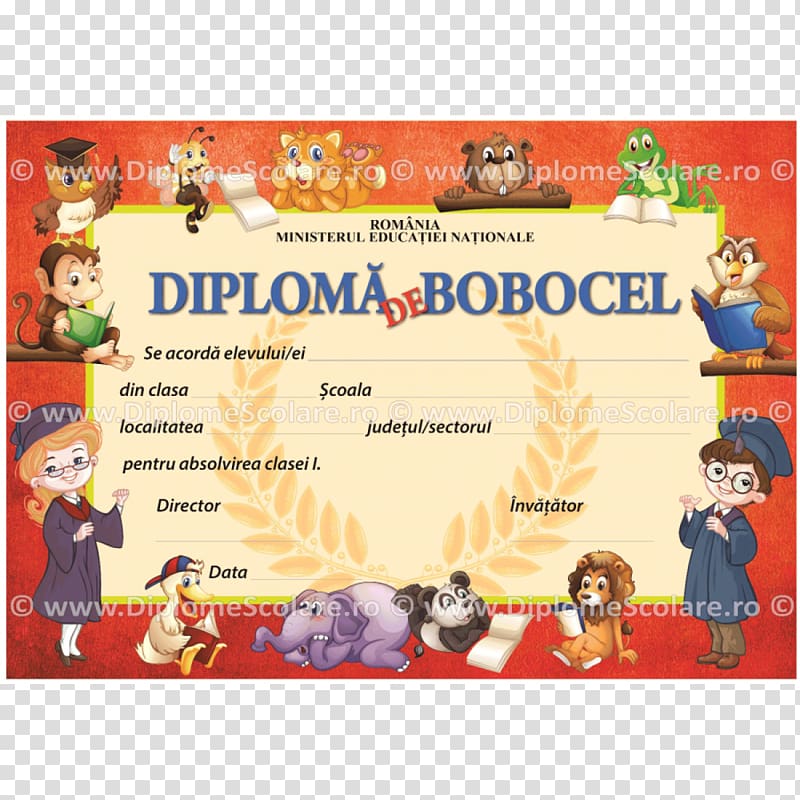 Diploma Graduation ceremony 2018 Audi A4 Advertising Textbook, diplome transparent background PNG clipart