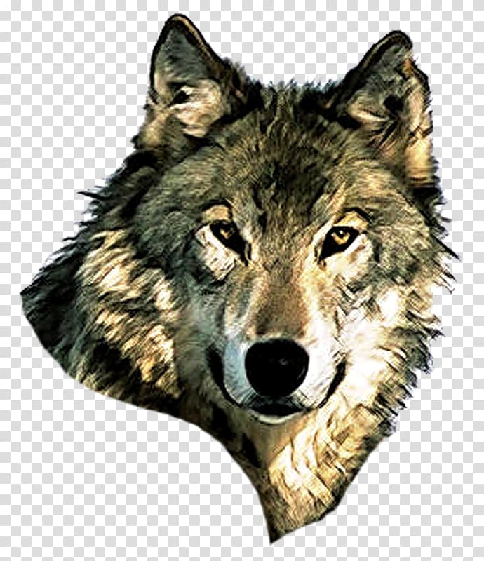 Iberian Peninsula Iberian wolf Deer Big Bad Wolf, others transparent background PNG clipart