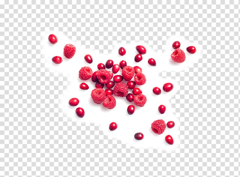 Cranberry Food Snack Kind, seeds transparent background PNG clipart