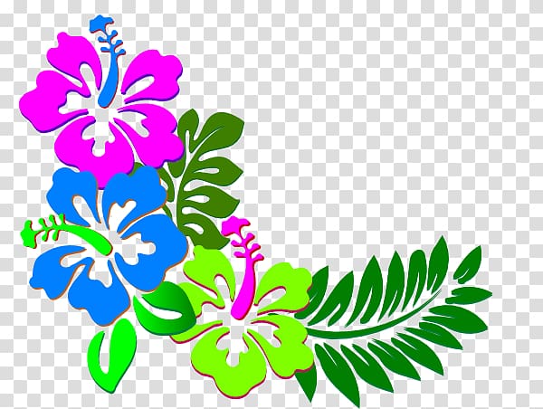 Hawaii Rosemallows Flower , others transparent background PNG clipart