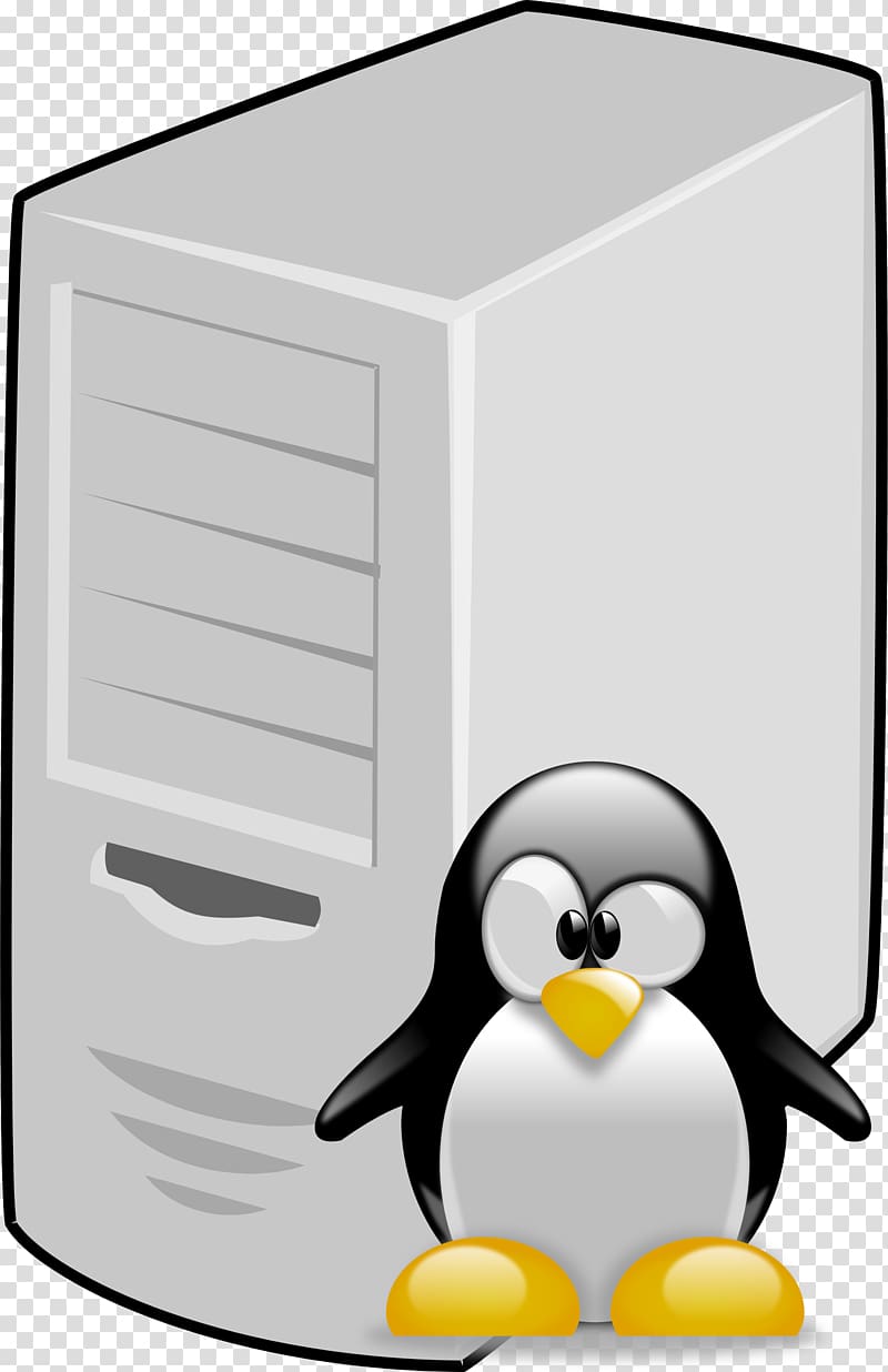 Google Penguin T-shirt Bird Link building, server transparent background PNG clipart
