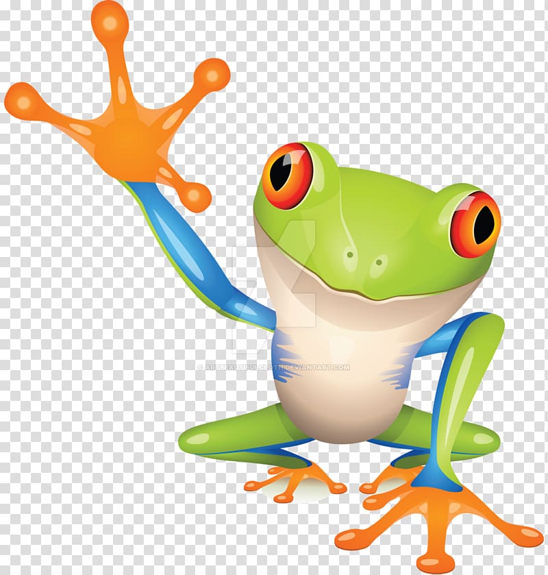 Tree frog True frog , colourful frogs transparent background PNG clipart