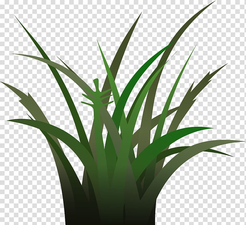 Free content , Green grass transparent background PNG clipart