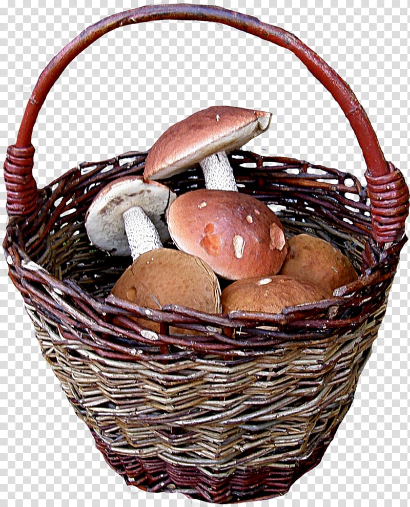 Basket , mushrooms transparent background PNG clipart