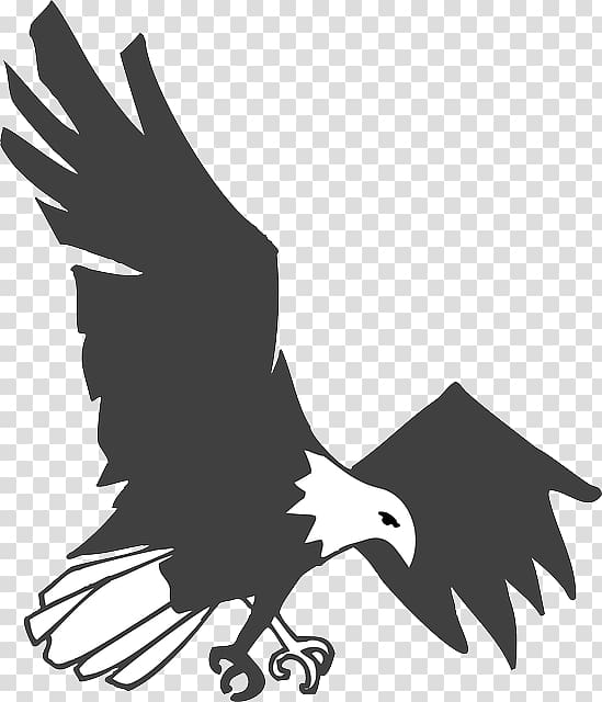 Eagle Drawing , animal claws transparent background PNG clipart