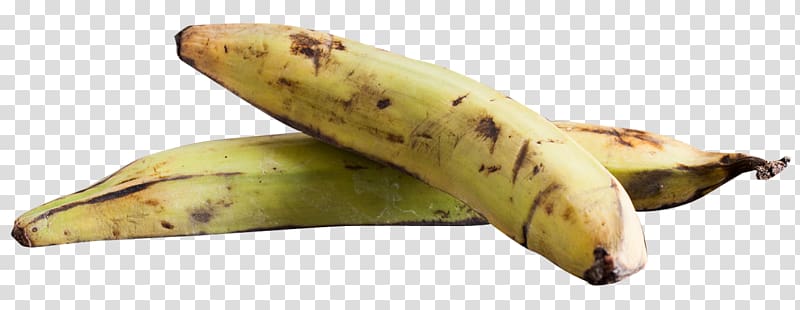 Banana Plantago asiatica, Plantain transparent background PNG clipart