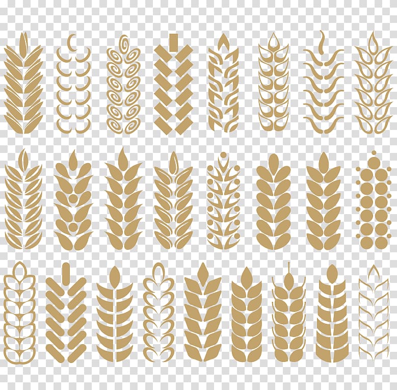 Common wheat Wheatgrass Ear , Golden ear transparent background PNG clipart