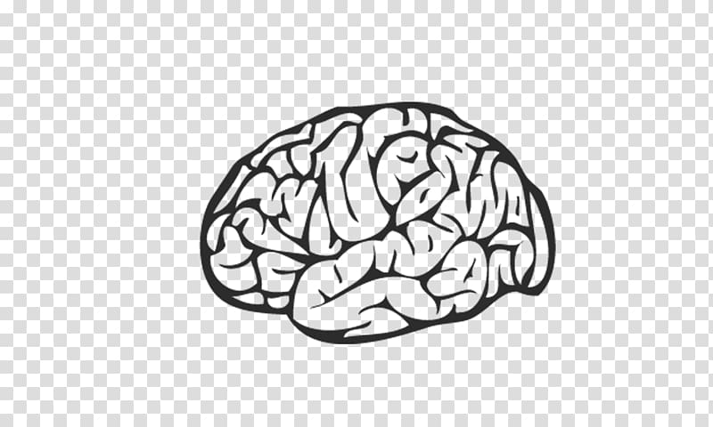 brain illustration, Episerver the Missing Manual Application software Microsoft PowerPoint, Black and white brain transparent background PNG clipart