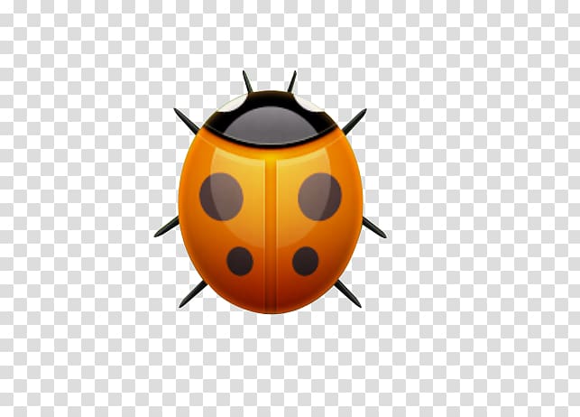 Beetle Coccinella septempunctata, Ladybug transparent background PNG clipart