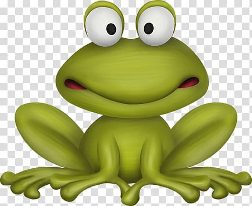 Frog Drawing , frog transparent background PNG clipart