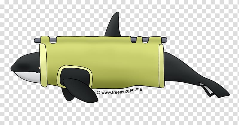 Loro Parque Killer whale Free Morgan Foundation Marine mammal, killer whale transparent background PNG clipart