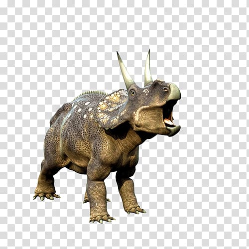 brown triceratops illustration, Triceratops Tyrannosaurus Dinosaur , dinosaur transparent background PNG clipart