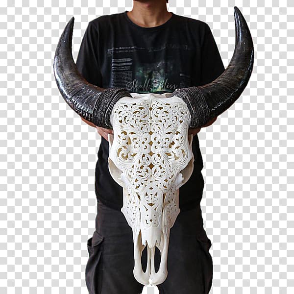 Cattle XL Horns Skull Bull, skull transparent background PNG clipart
