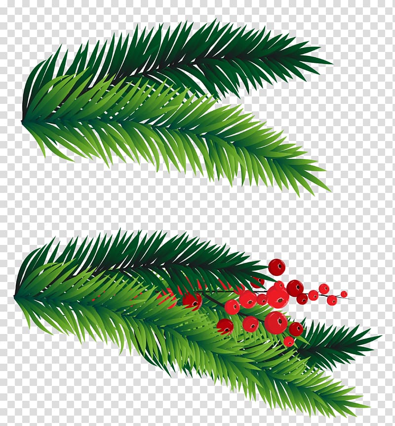 christmas tree branch pine cone transparent background png clipart hiclipart hiclipart