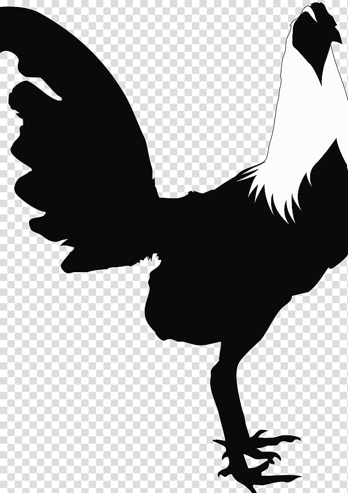 Chicken Silhouette Rooster, chicken maestro transparent background PNG clipart