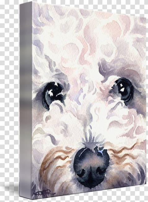 Shih Tzu Bichon Frise Puppy Dog breed Painting, bichon frise transparent background PNG clipart