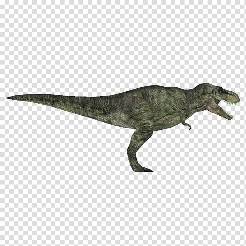 Zoo Tycoon 2 Tyrannosaurus Velociraptor Dilophosaurus Spinosaurus, jurassic park transparent background PNG clipart