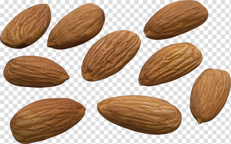 Nut Almond milk Almond biscuit, Almond physical map transparent background PNG clipart