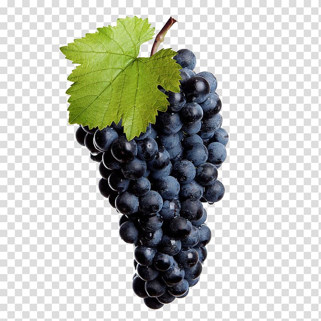 Common Grape Vine Wine Juice Grape seed extract, wine transparent background PNG clipart