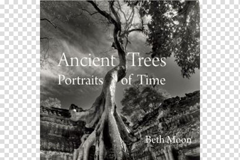 Ancient Trees: Portraits of Time Amazon.com The Hidden Life of Trees: What They Feel, How They Communicate—Discoveries From a Secret World, tree transparent background PNG clipart