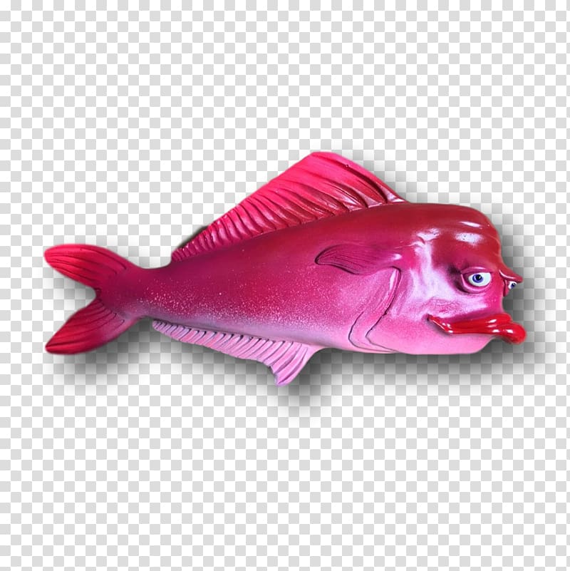 Northern red snapper, pink fish transparent background PNG clipart