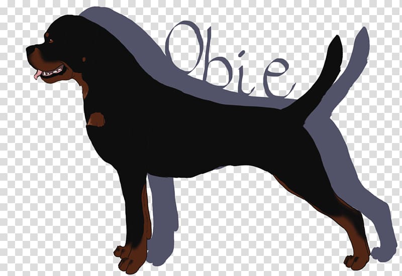 Black and Tan Coonhound Smaland Hound Rottweiler Austrian Black and Tan Hound Dog breed, the dog is paying a new year call transparent background PNG clipart