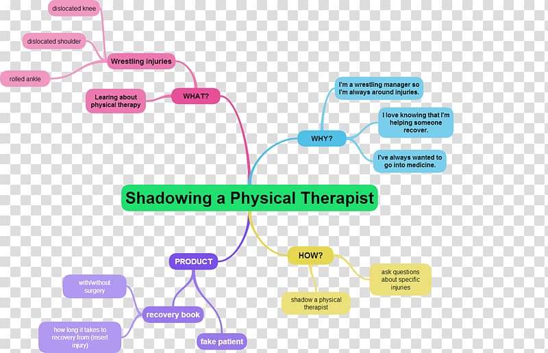 Physical therapy Occupational Therapy Mind map, mind mapping transparent background PNG clipart