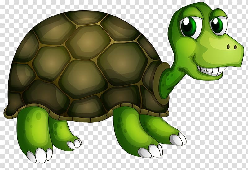 Turtle Illustration, Smiling little turtle transparent background PNG clipart