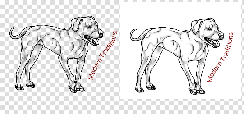 Dog breed Line art Drawing Sketch, straditional culture transparent background PNG clipart