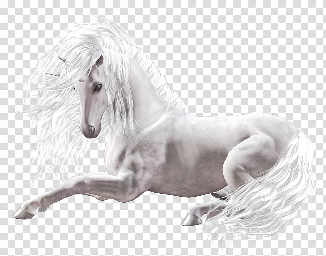 Unicorn White horse Gift , unicorn transparent background PNG clipart